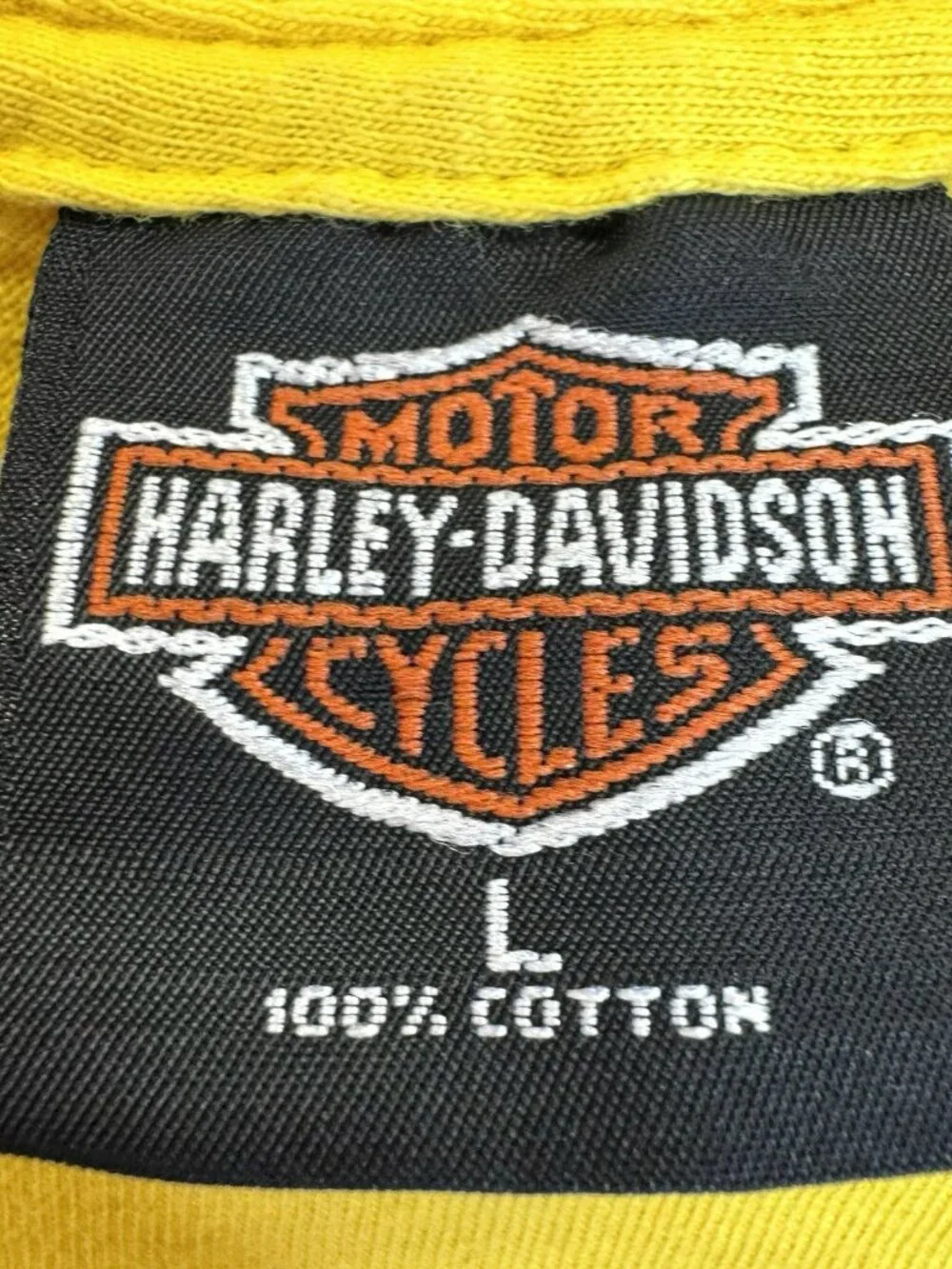 Vintage 90s Y2K Harley Davidson T-Shirt Tee Winnipeg Manitoba Buffalo Lone Star - Picture 4 of 8